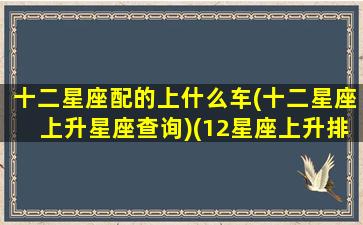 十二星座配的上什么车(十二星座上升星座查询)(12星座上升排行榜)