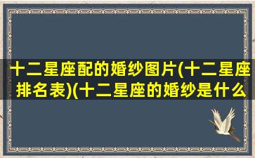 十二星座配的婚纱图片(十二星座排名表)(十二星座的婚纱是什么颜色)