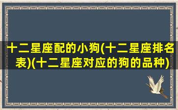 十二星座配的小狗(十二星座排名表)(十二星座对应的狗的品种)