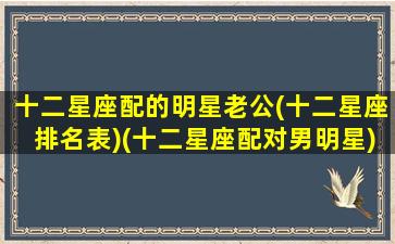 十二星座配的明星老公(十二星座排名表)(十二星座配对男明星)