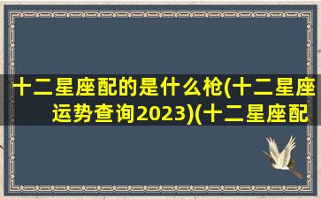 十二星座配的是什么枪(十二星座运势查询2023)(十二星座配对武器)