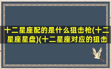 十二星座配的是什么狙击枪(十二星座星盘)(十二星座对应的狙击枪)