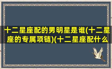 十二星座配的男明星是谁(十二星座的专属项链)(十二星座配什么样的男生)