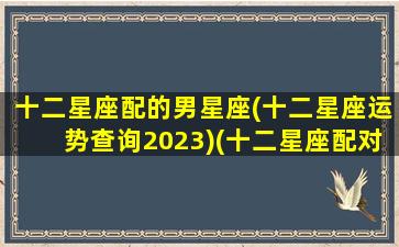 十二星座配的男星座(十二星座运势查询2023)(十二星座配对男女)