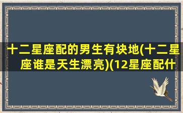 十二星座配的男生有块地(十二星座谁是天生漂亮)(12星座配什么男朋友)