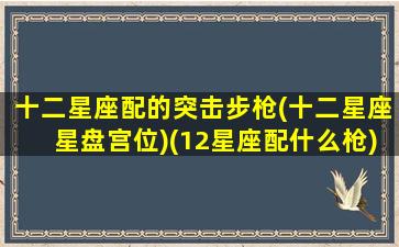 十二星座配的突击步枪(十二星座星盘宫位)(12星座配什么枪)