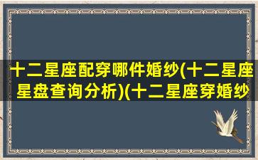 十二星座配穿哪件婚纱(十二星座星盘查询分析)(十二星座穿婚纱是什么样子)