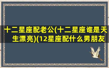 十二星座配老公(十二星座谁是天生漂亮)(12星座配什么男朋友)