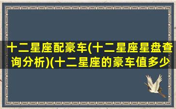 十二星座配豪车(十二星座星盘查询分析)(十二星座的豪车值多少钱)