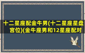 十二星座配金牛男(十二星座星盘宫位)(金牛座男和12星座配对指数)