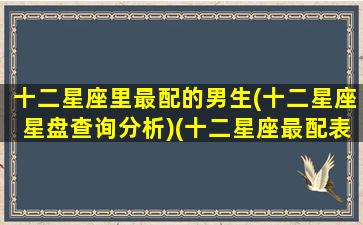 十二星座里最配的男生(十二星座星盘查询分析)(十二星座最配表)