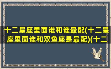 十二星座里面谁和谁最配(十二星座里面谁和双鱼座是最配)(十二星座中谁和谁最般配)