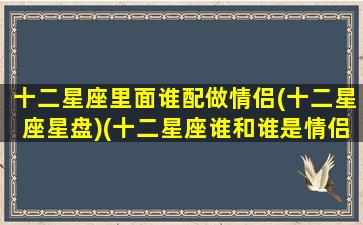 十二星座里面谁配做情侣(十二星座星盘)(十二星座谁和谁是情侣)