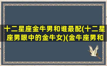 十二星座金牛男和谁最配(十二星座男眼中的金牛女)(金牛座男和那个星座最配)