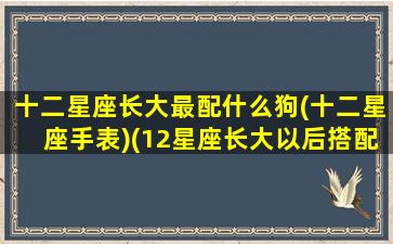 十二星座长大最配什么狗(十二星座手表)(12星座长大以后搭配的情侣明星)