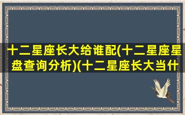 十二星座长大给谁配(十二星座星盘查询分析)(十二星座长大当什么最合适)