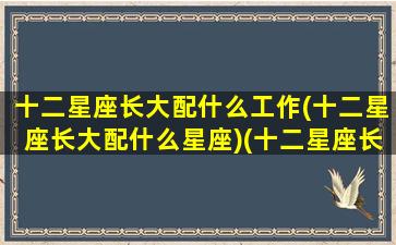 十二星座长大配什么工作(十二星座长大配什么星座)(十二星座长大适合什么工作)