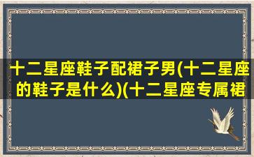 十二星座鞋子配裙子男(十二星座的鞋子是什么)(十二星座专属裙子和鞋子)