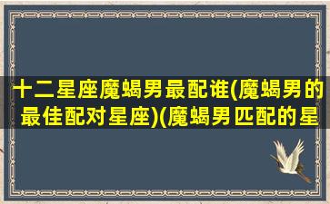 十二星座魔蝎男最配谁(魔蝎男的最佳配对星座)(魔蝎男匹配的星座配对)