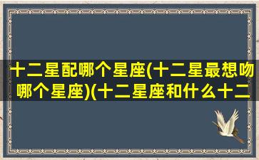 十二星配哪个星座(十二星最想吻哪个星座)(十二星座和什么十二星座最搭配)