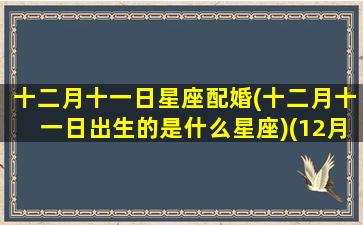 十二月十一日星座配婚(十二月十一日出生的是什么星座)(12月11日的星座是什么星座)