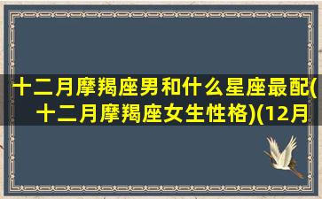 十二月摩羯座男和什么星座最配(十二月摩羯座女生性格)(12月的摩羯男和1月的摩羯女谈爱)