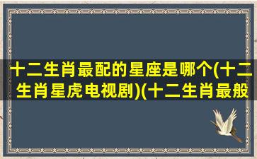 十二生肖最配的星座是哪个(十二生肖星虎电视剧)(十二生肖最般配的属相)