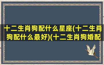 十二生肖狗配什么星座(十二生肖狗配什么最好)(十二生肖狗婚配)