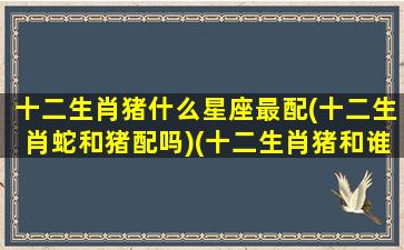 十二生肖猪什么星座最配(十二生肖蛇和猪配吗)(十二生肖猪和谁婚配最佳)