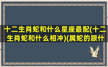 十二生肖蛇和什么星座最配(十二生肖蛇和什么相冲)(属蛇的跟什么星座最配)