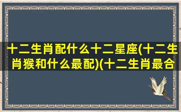 十二生肖配什么十二星座(十二生肖猴和什么最配)(十二生肖最合配)