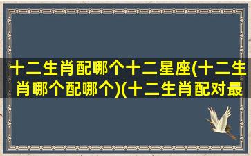 十二生肖配哪个十二星座(十二生肖哪个配哪个)(十二生肖配对最合适)