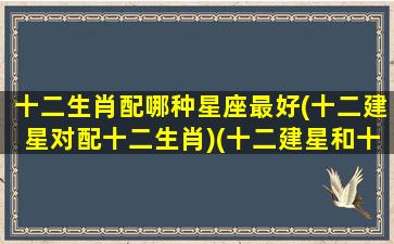 十二生肖配哪种星座最好(十二建星对配十二生肖)(十二建星和十二生肖)