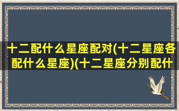十二配什么星座配对(十二星座各配什么星座)(十二星座分别配什么星座)
