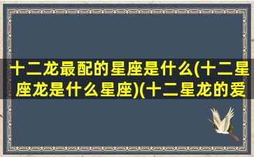 十二龙最配的星座是什么(十二星座龙是什么星座)(十二星龙的爱情cp生活)