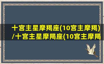 十宫主星摩羯座(10宫主摩羯)/十宫主星摩羯座(10宫主摩羯)-我的网站(第十宫摩羯座)