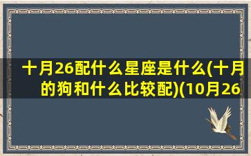 十月26配什么星座是什么(十月的狗和什么比较配)(10月26日什么冲什么)