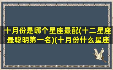 十月份是哪个星座最配(十二星座最聪明第一名)(十月份什么星座呀)