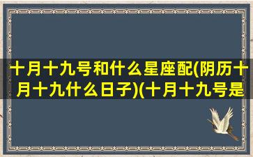 十月十九号和什么星座配(阴历十月十九什么日子)(十月十九号是星期几)