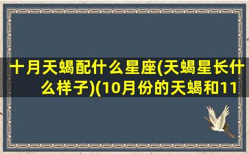 十月天蝎配什么星座(天蝎星长什么样子)(10月份的天蝎和11月份的哪个好)