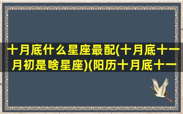 十月底什么星座最配(十月底十一月初是啥星座)(阳历十月底十一月初是什么星座)