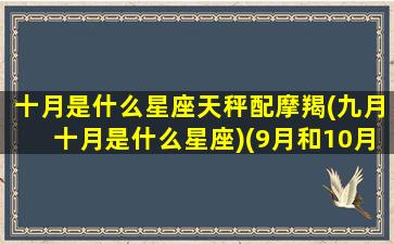 十月是什么星座天秤配摩羯(九月十月是什么星座)(9月和10月天秤座的区别)