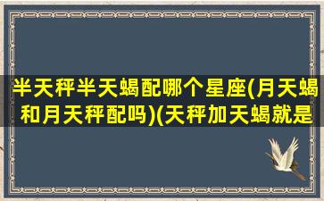 半天秤半天蝎配哪个星座(月天蝎和月天秤配吗)(天秤加天蝎就是整个世界)