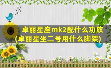 卓丽星座mk2配什么功放(卓丽星坐二号用什么脚架)