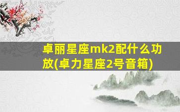 卓丽星座mk2配什么功放(卓力星座2号音箱)