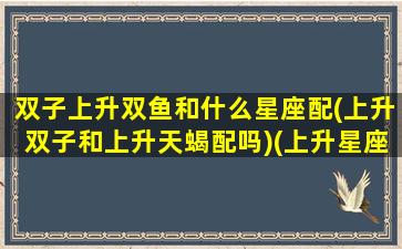 双子上升双鱼和什么星座配(上升双子和上升天蝎配吗)(上升星座双子的双鱼)