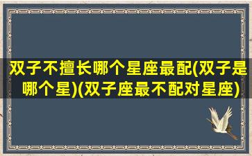 双子不擅长哪个星座最配(双子是哪个星)(双子座最不配对星座)