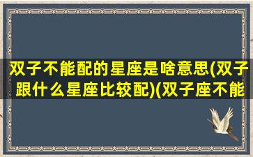 双子不能配的星座是啥意思(双子跟什么星座比较配)(双子座不能和什么座玩)