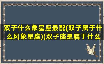 双子什么象星座最配(双子属于什么风象星座)(双子座是属于什么象)