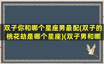 双子你和哪个星座男最配(双子的桃花劫是哪个星座)(双子男和哪个星座配对)